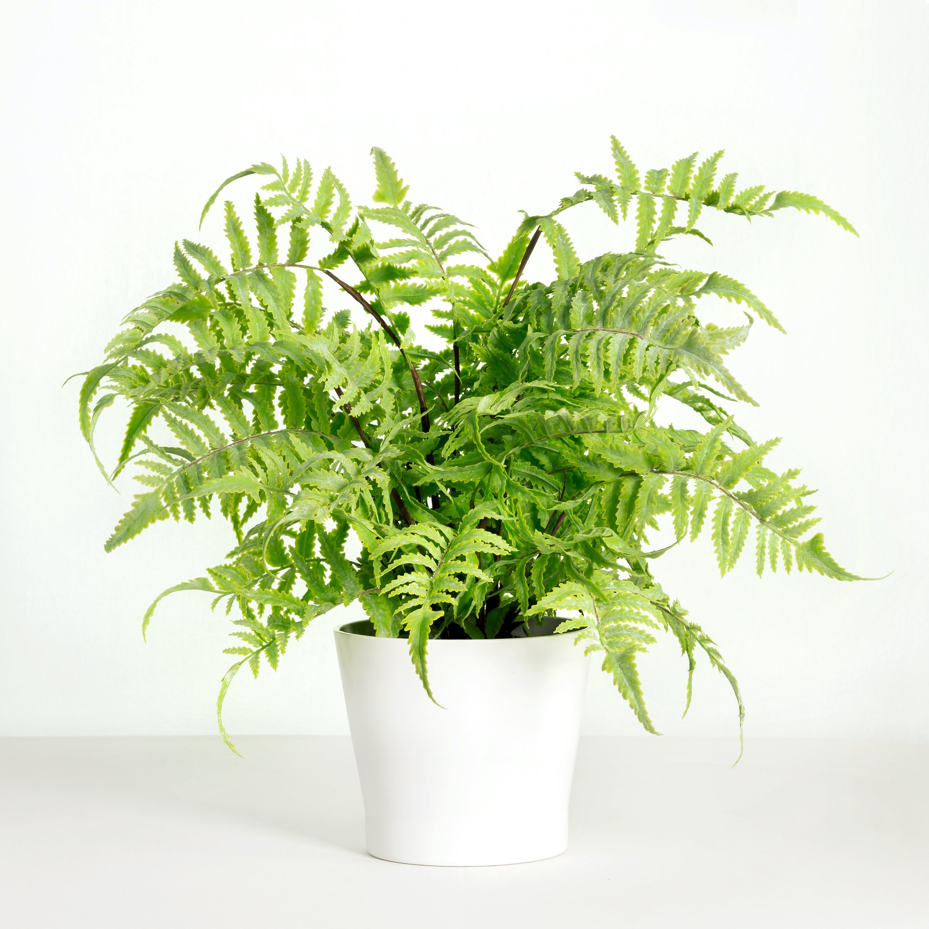 Artificial fern plant in white planter - 18"-1