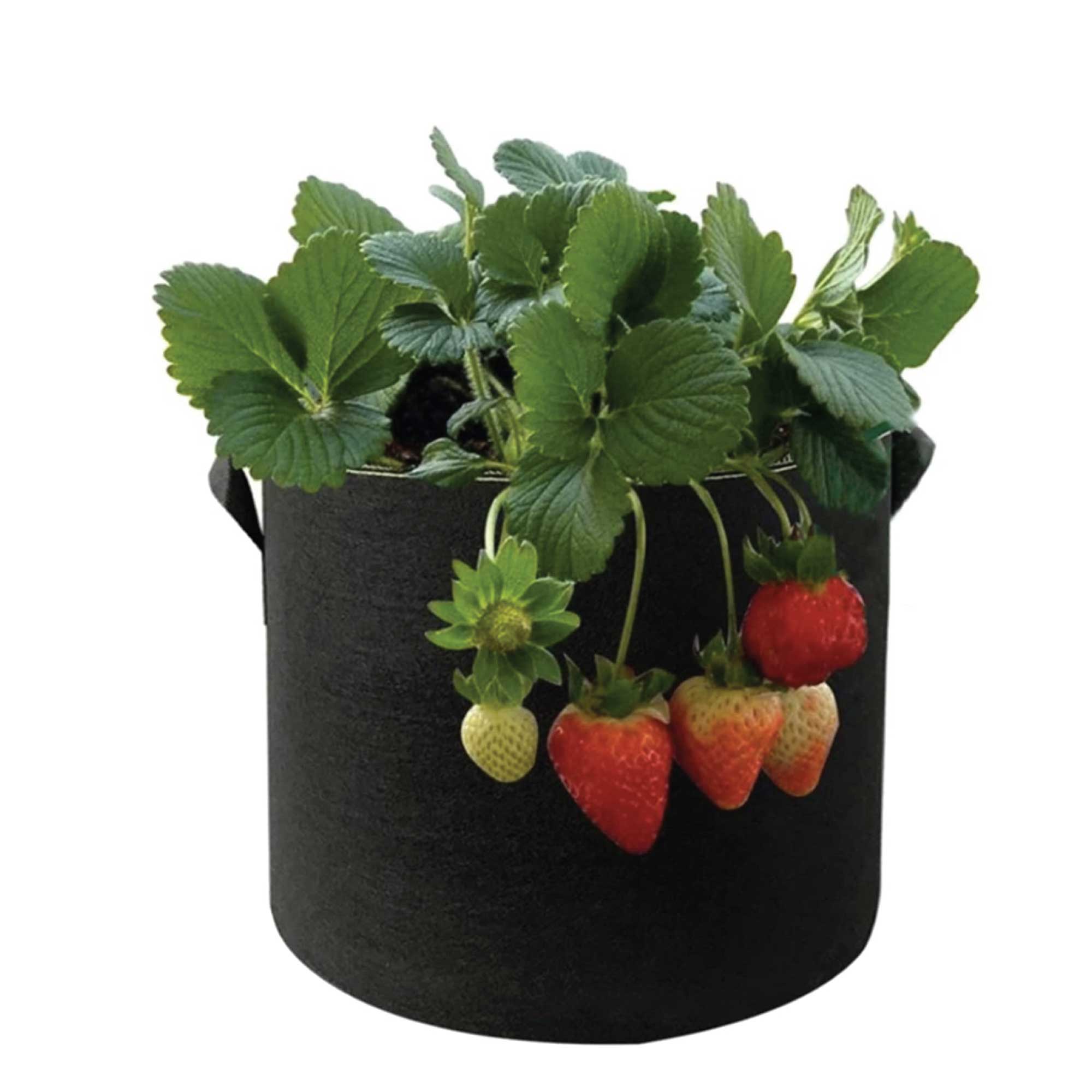 NNEDSZ 6 Pck 10 Gallon Fabric Flower Pots 38L Garden Planter Bags Black Felt Root Pouch